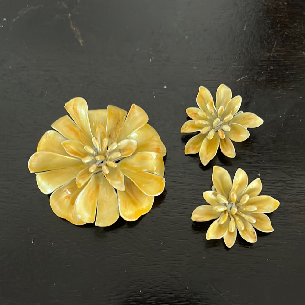 1960’s Enamel Pin and earrings